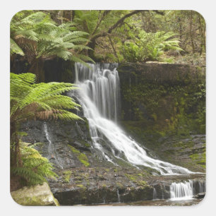 Pegatina Cuadrada Cascada Horseshoe, Parque Nacional Mount Field,