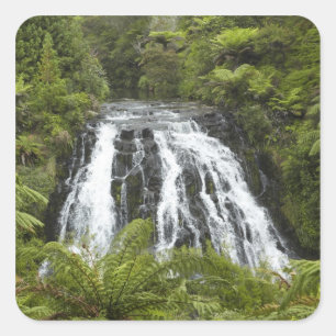 Pegatina Cuadrada Cascada Owharoa, desfiladero de Karangahake, cerca