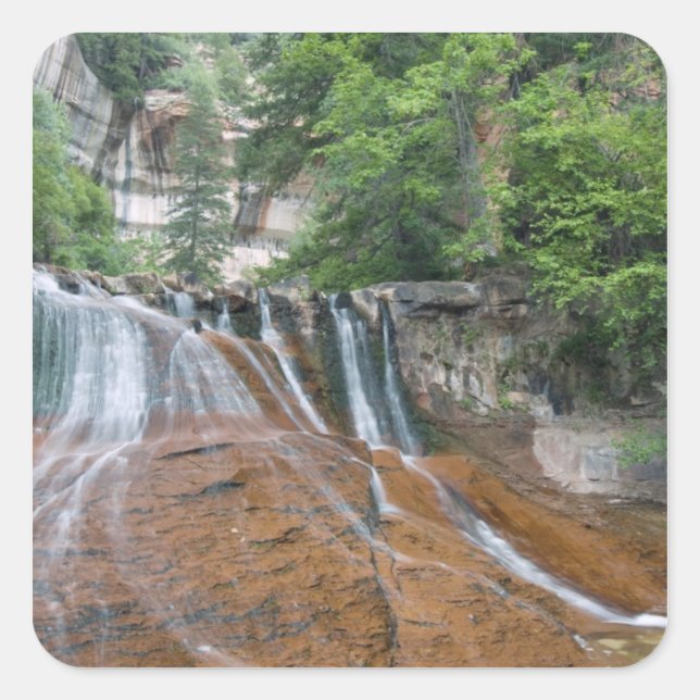 Pegatina Cuadrada Cascada, Parque Nacional Zion, Utah, EE. UU. (Anverso)