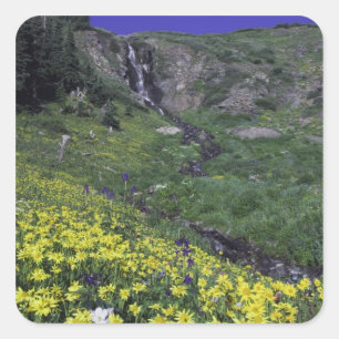 Pegatina Cuadrada Cascada y flores silvestres en prado alpino,