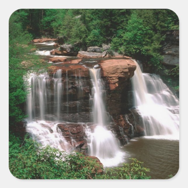 Pegatina Cuadrada Cascadas de Blackwater, Virginia Occidental, pinto (Anverso)