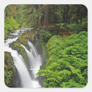 Pegatina Cuadrada Cascadas Sol Duc en el Parque Nacional Olímpico en