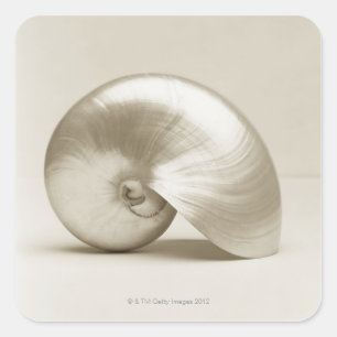 Pegatina Cuadrada Cáscara Pearlised del mar del nautilus