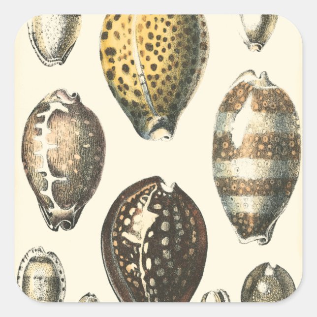 Pegatina Cuadrada Cascos de mar de forma única (Anverso)