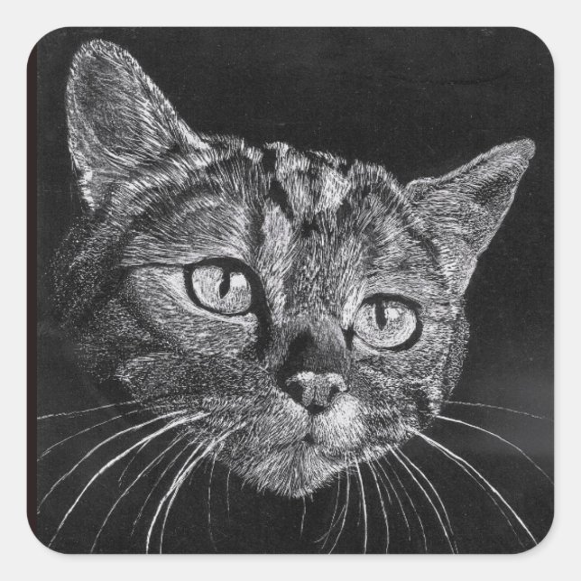 Pegatina Cuadrada Cat Face en mi dibujo de secundaria (Anverso)