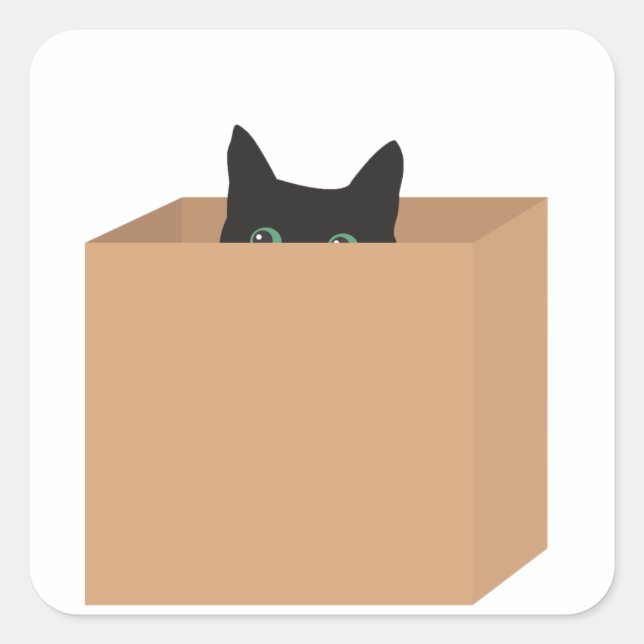 Pegatina Cuadrada Cat In A Box (Anverso)