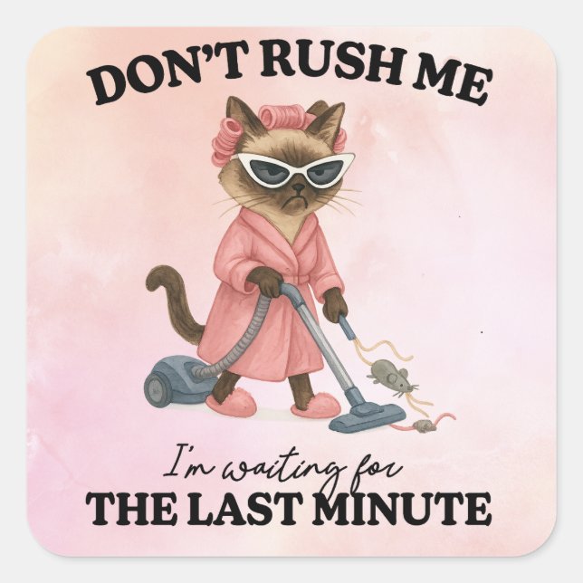 Pegatina Cuadrada Cat is cleaning house (Anverso)