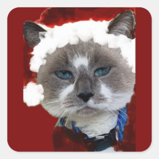 Pegatina Cuadrada Cat Santa Claws Christmas Maureen Girard Blue Eye 