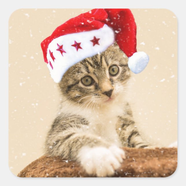 Pegatina Cuadrada Cat with santa cap (Anverso)