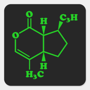 Pegatina Cuadrada Catnip Nepetalactona Fórmula Química Molecular