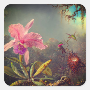Pegatina Cuadrada Cattleya Orchid y tres Hummingbirds Heade