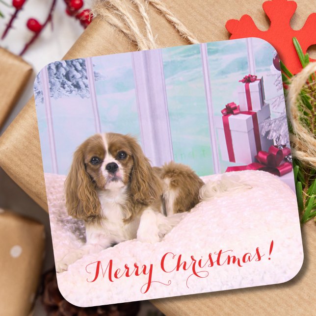 Pegatina Cuadrada Cavalier King Charles de Navidad con regalos (Subido por el creador)