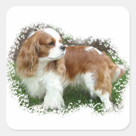 Pegatina Cuadrada Cavalier King Charles Spaniel