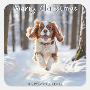 Pegatina Cuadrada Cavalier King Charles Spaniel Nieve Feliz Navidad