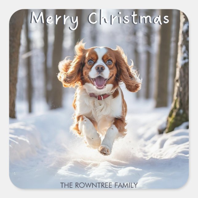 Pegatina Cuadrada Cavalier King Charles Spaniel Nieve Feliz Navidad (Anverso)