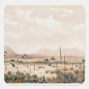 Pegatina Cuadrada Caza del canguro