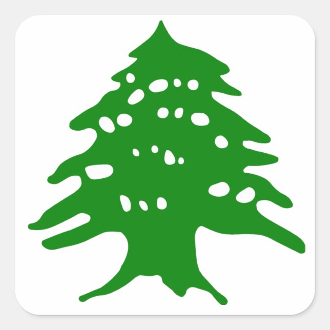 Pegatina Cuadrada Cedro verde / Cedro libanés (Anverso)