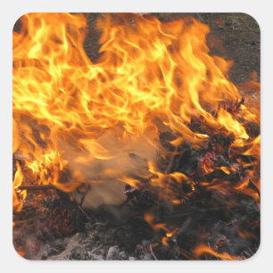 Pegatina Cuadrada Cepillo ardiente