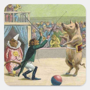 Pegatina Cuadrada Cerdos del mono y del circo