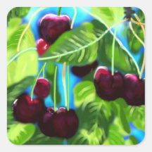 Cerezas Colgadas De Las Ramas Cerezo Verde Rojo