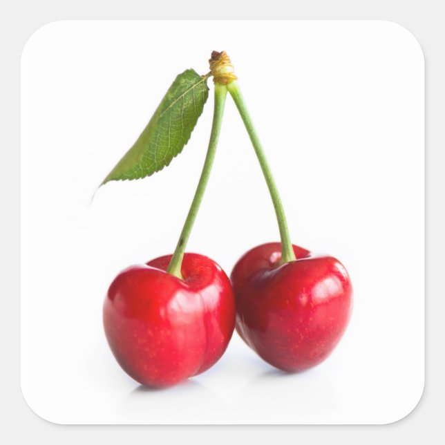 Pegatina Cuadrada Cerezo dulce (Anverso)