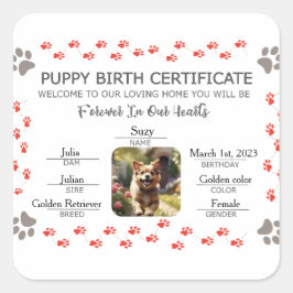 Pegatina Cuadrada Certificado de nacimiento de personalizado
