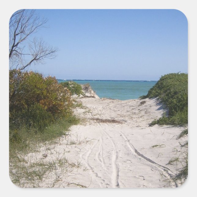 Pegatina Cuadrada Cervantes WA (Anverso)