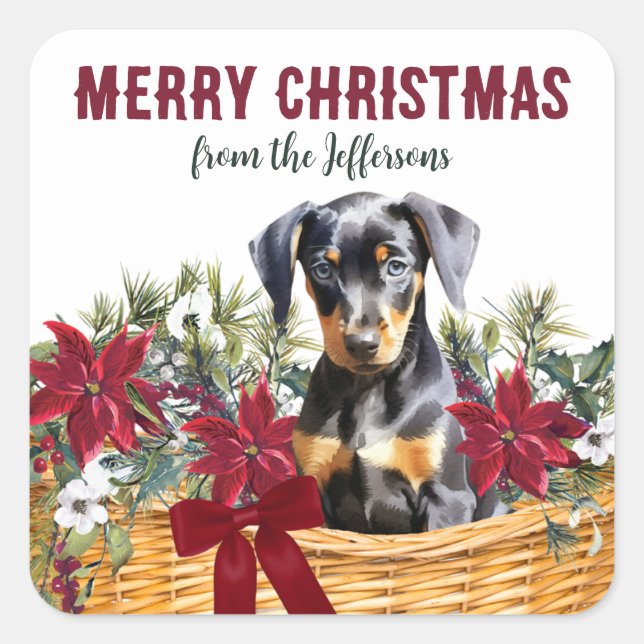 Pegatina Cuadrada Cesta de Navidades de Poinsettia Doberman Pinscher (Anverso)