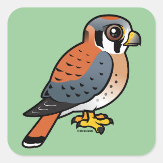 Pegatina Cuadrada Cestrel cutáneo americano