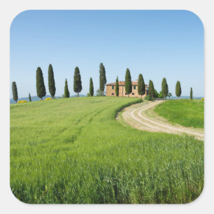 Pegatina Cuadrada Chalet de campo con cipreses en la Toscana