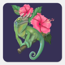 Chameleon de Jackson con Hibiscus