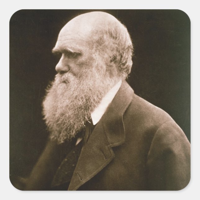 Pegatina Cuadrada Charles Darwin (1809-82) (foto) (Anverso)