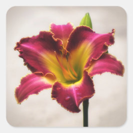 Pegatina Cuadrada Cherokee Heritage Daylily