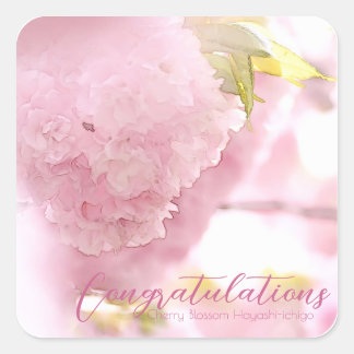 Pegatina Cuadrada Cherry Blossom "Hayashi-ichigo" スクエアシール