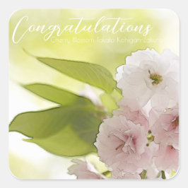 Pegatina Cuadrada Cherry Blossom "Takato Kohigan-Zakura" スクエアシール