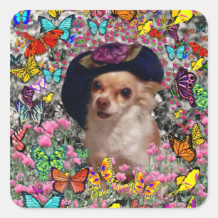 Pegatina Cuadrada Chi en las mariposas - Chihuahua, un cachorro en G