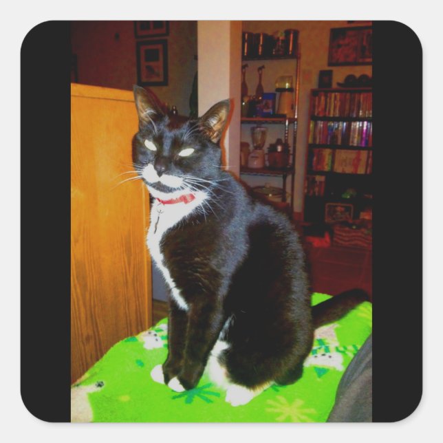 Pegatina Cuadrada Chica bonito Lucy (Anverso)