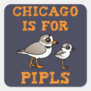 Pegatina Cuadrada Chicago es para PIPL