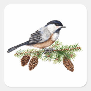 Pegatina Cuadrada Chickadee del invierno