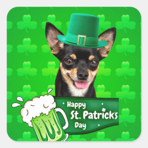 Pegatina Cuadrada Chihuahua Cuppy Dog St. Patrick's Day Green Clover