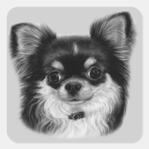 Pegatina Cuadrada Chihuahua pintado a mano