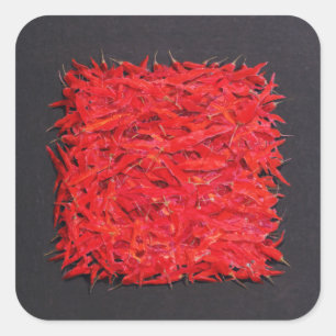Pegatina Cuadrada Chillies