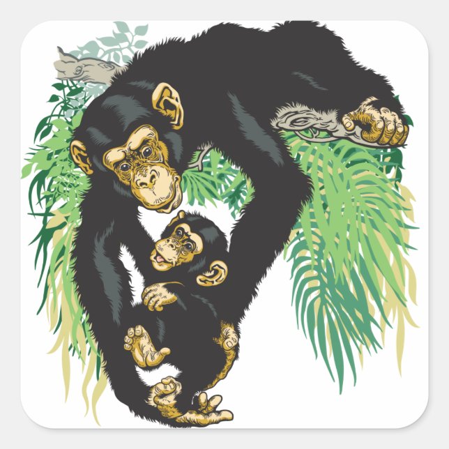 Pegatina Cuadrada chimpancé con bebé (Anverso)
