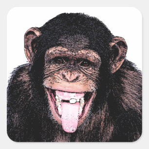 Pegatina Cuadrada Chimpanzee Tongue