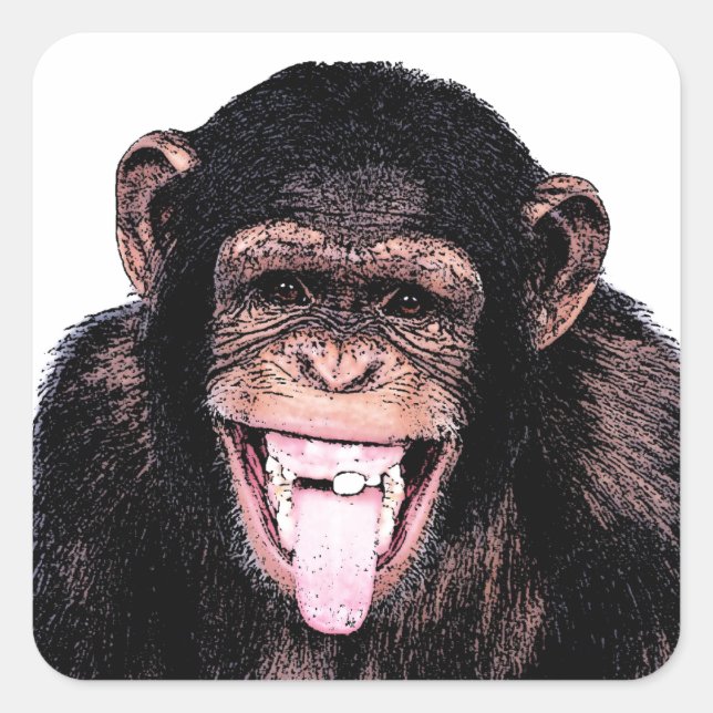 Pegatina Cuadrada Chimpanzee Tongue (Anverso)