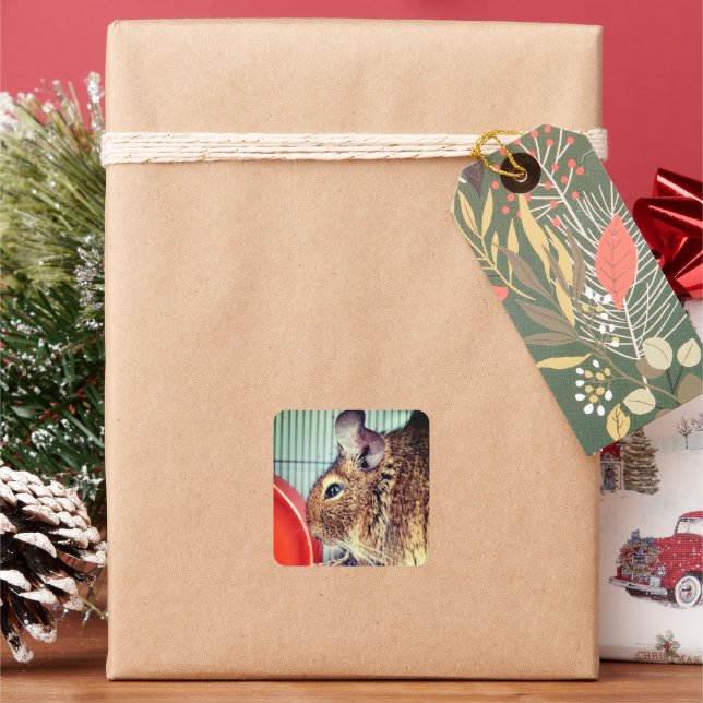 Pegatina Cuadrada Chinchilla (Vacaciones)