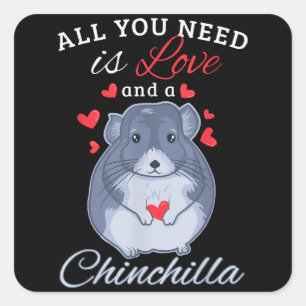 Pegatina Cuadrada Chinchilla Regalo Gracioso Mascota a los animales