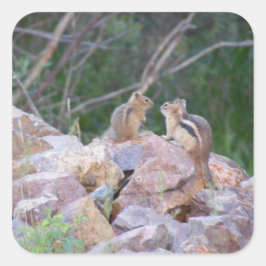 Pegatina Cuadrada Chipmunk Chatter