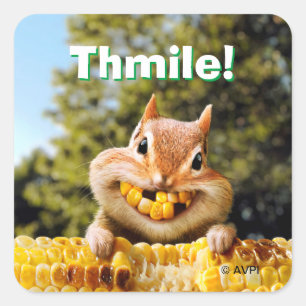 Pegatina Cuadrada Chipmunk Eating Corn