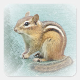 Pegatina Cuadrada Chipmunk Stripes